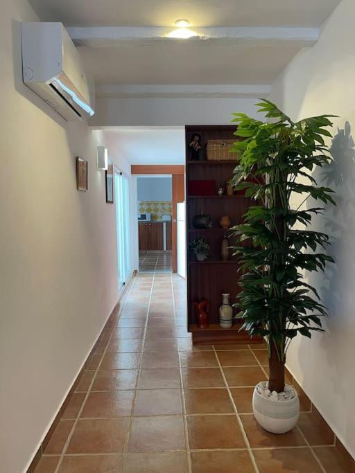 Casa Da Oliveira Vila Mourão Exterior foto